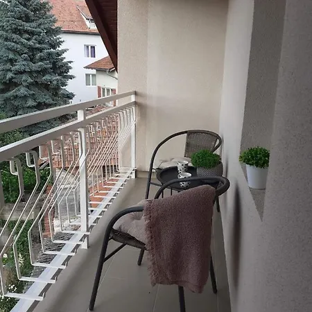 Apartment M Soko Banja