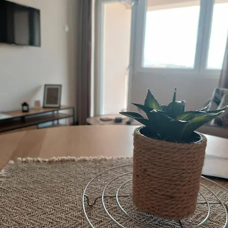 Apartment M Soko Banja