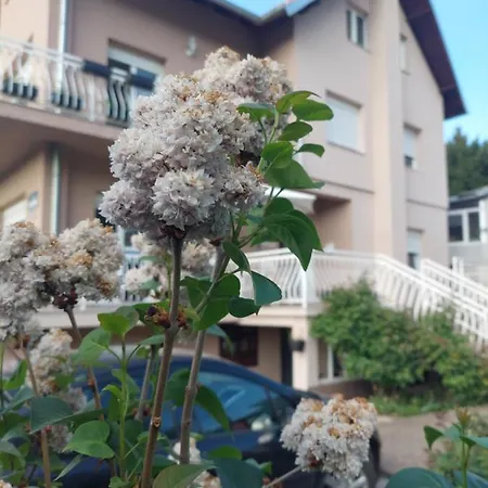 M Apartment *